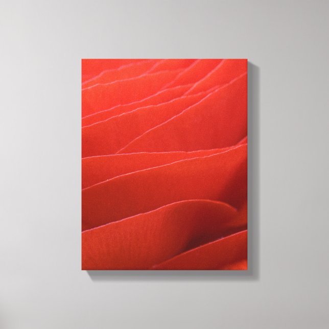 Impressão Em Tela Pétalas de Flor de Ranúnculo Vermelho (Frente)