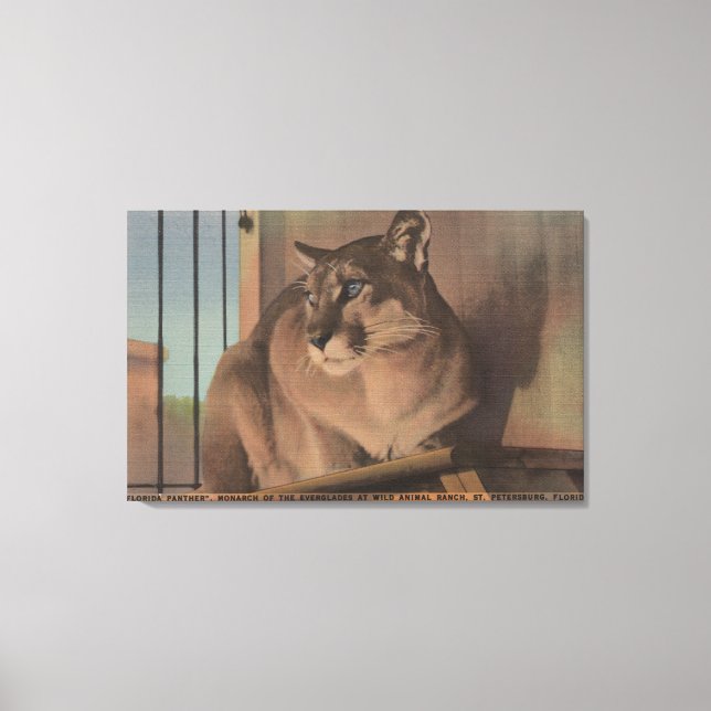 Impressão Em Tela Petersburgo, Flórida - Imagem Da Flórida (Frente)