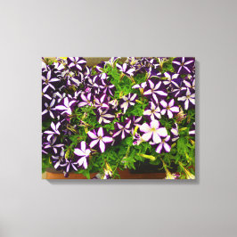 Impressão Em Tela Petunias com distribuição roxa