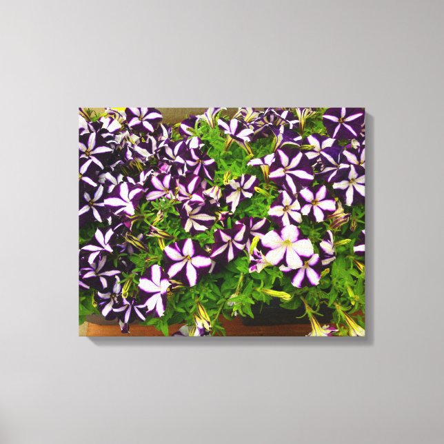 Impressão Em Tela Petunias com distribuição roxa (Frente)