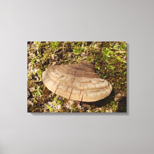 Impressão Em Tela Phellinus igniarius Mushroom (Frente)