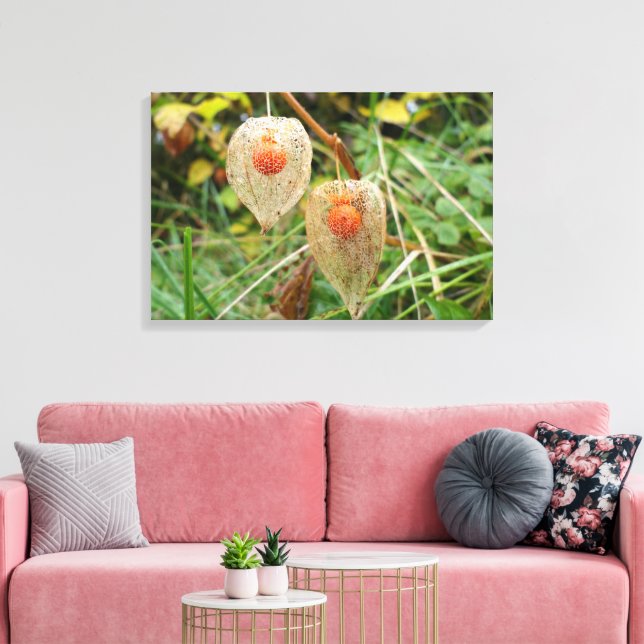 Impressão Em Tela Physalis alkekengi (Insitu(Sala de estar))