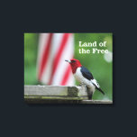 Impressão Em Tela Pica-pau-de-cabeça-vermelha<br><div class="desc">Pica-pau de cabeça vermelha num alimentador de aves do quintal com uma bandeira americana. Foto enviada por um leitor de Birds & Blooms. Birds & Blooms é a revista nº 1 de pássaros e jardins na América do Norte. Orgulhamo-nos em celebrar o cobrir da "beleza no seu próprio quintal" uma...</div>