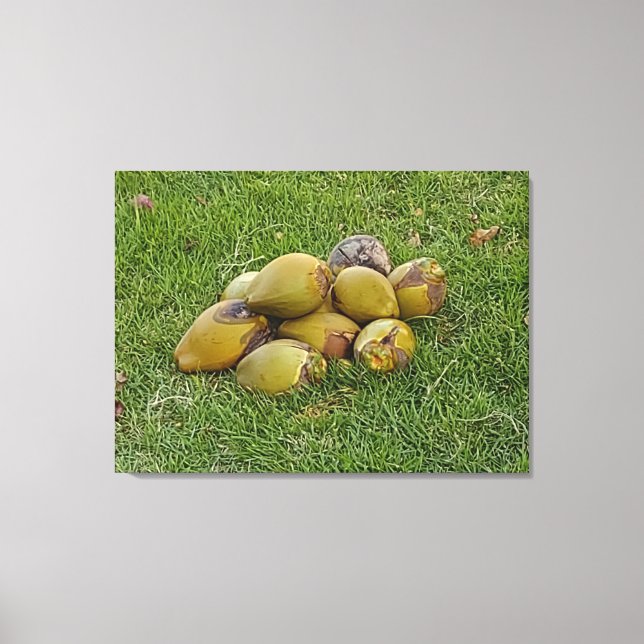 IMPRESSÃO EM TELA PILHA DE COCONUTOS (Frente)