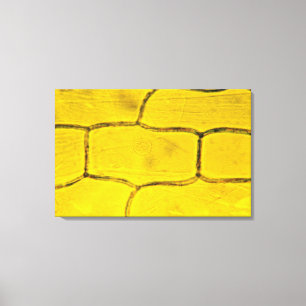 Impressão Em Tela Pilhas da planta de cebola