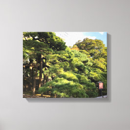 Impressão Em Tela Pinheiros com 300 anos