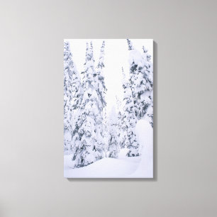 Impressão Em Tela Pinhos cobertos de neve do pólo do alojamento