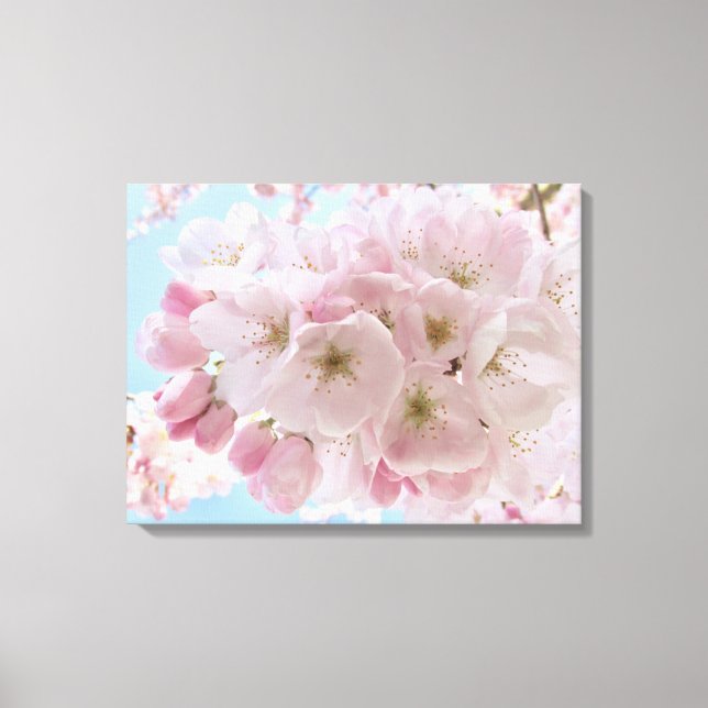Impressão Em Tela Pink Blossoms Blue Sky. (Frente)