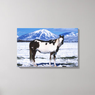 Impressão Em Tela Pinte o cavalo que está na neve