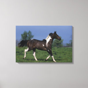 Impressão Em Tela Pinte o cavalo que funciona 2