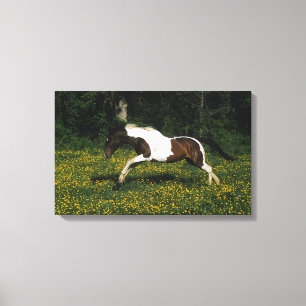 Impressão Em Tela Pinte o cavalo que funciona no campo das flores
