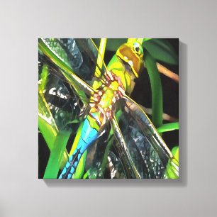 Impressão Em Tela Pintura de Asas de Sombreamento da Dragonfly Azul