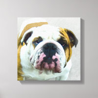 Pintura de Buldogue - Arte de Cachorro Original Bo