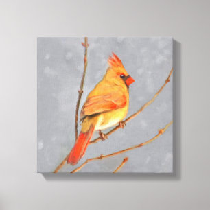 Impressão Em Tela Pintura de Cardinal em Galho - Arte Original de Pá
