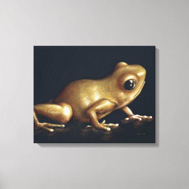 Impressão Em Tela Pintura de Sapo curiosa (Frente)