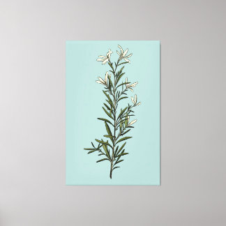 Impressão Em Tela Pintura de Sprig Rosemary Verde Esmagadora