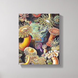Impressão Em Tela Pintura do Oceano Anêmico do Mar de Haeckel
