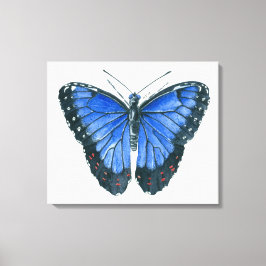 Impressão Em Tela Pintura em aquarela da borboleta Blue Morpho
