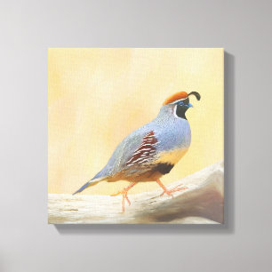 Impressão Em Tela Pintura em Quail de Gambrel — Arte original sobre