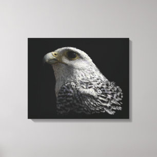 Impressão Em Tela Pintura em Retrato de Gyfalcon Ártico