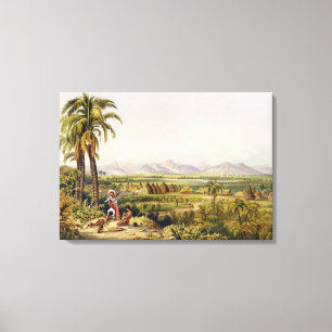 Impressão Em Tela Pirara e lago Amucu, o local do eldorado,