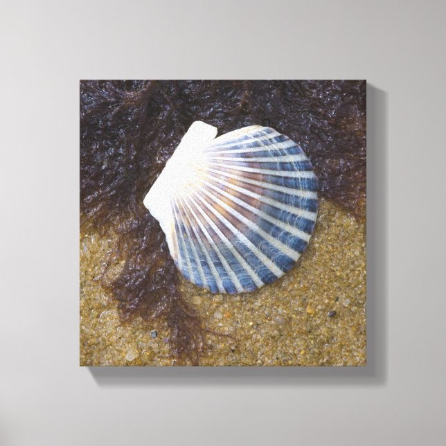 Impressão Em Tela Piscina (Frente)