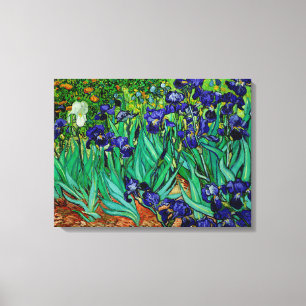 Impressão Em Tela PixDezines van gogh irises/ruas. Remy