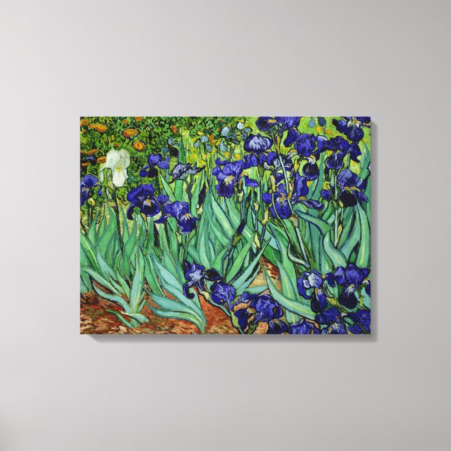 Impressão Em Tela PixDezines van gogh irises/ruas. Remy (Frente)