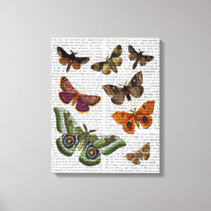 Impressão Em Tela Placa 2