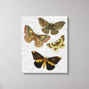 Impressão Em Tela Placa de Mama 4