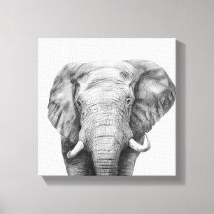 Impressão Em Tela Plano de backup IV