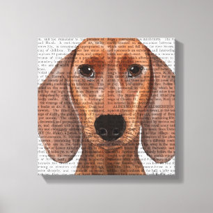 Impressão Em Tela Plano de Ilustração de Dachshund