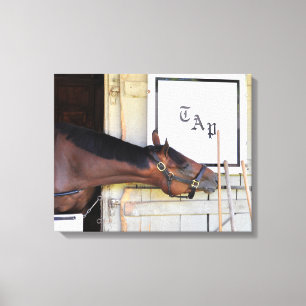 Impressão Em Tela Plano mestre