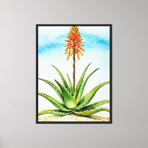Impressão Em Tela planta de aloe vera