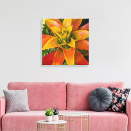 Impressão Em Tela Planta Floral de Guzmania Bromeliad