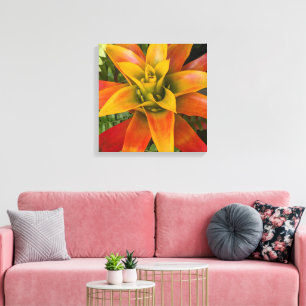 Impressão Em Tela Planta Floral de Guzmania Bromeliad