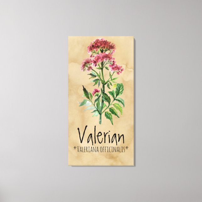 Impressão Em Tela Plantas mágicas Valerianas 21,29'' x 42,05'' Canva (Frente)