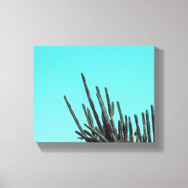 Impressão Em Tela Plantas Suculentas de Cacto Verde Pálido Minimalis (Frente)