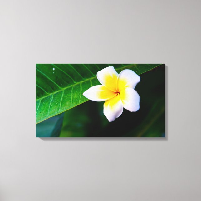 Impressão Em Tela plumeria (Frente)