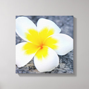 Impressão Em Tela Plumeria