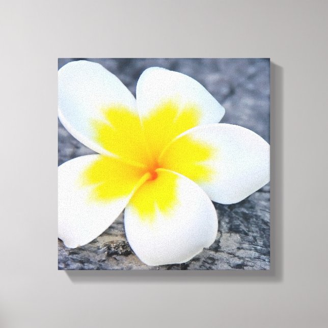Impressão Em Tela Plumeria (Frente)