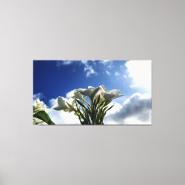 Impressão Em Tela Plumeria Brilhante Contra Céu Radiante