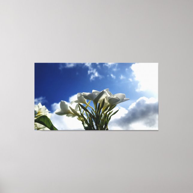 Impressão Em Tela Plumeria Brilhante Contra Céu Radiante (Frente)