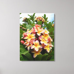 Impressão Em Tela Plumeria havaiano