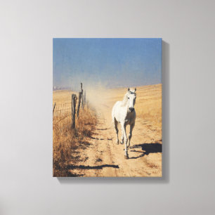 Impressão Em Tela Poeira da Trilha do Cavalo Branco Arte do Deserto