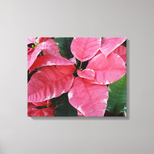 Impressão Em Tela Poinsettias Rosa de Mármore Estrela de Prata Flora