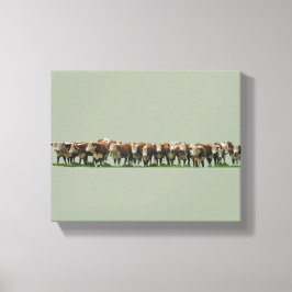 Impressão Em Tela Poll Herefords