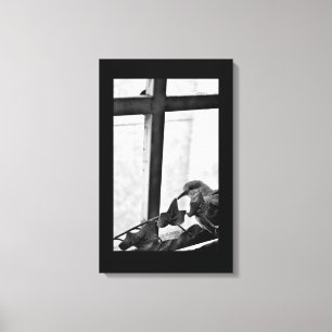 Impressão Em Tela Pomba tranquilo