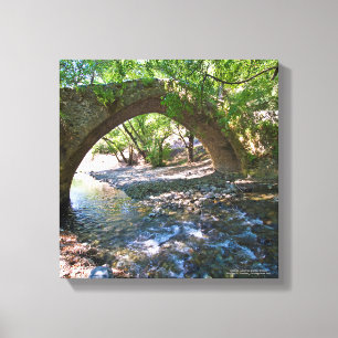 Impressão Em Tela Ponte medieval de Kelefos na floresta cipriota