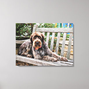 Impressão Em Tela Ponteiro Wirehaired alemão - Lexy